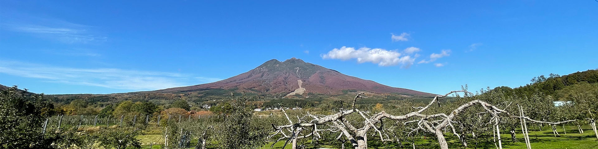 しらかみラボの看板
